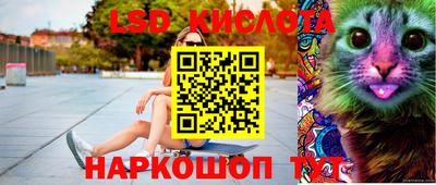 шишки Новокубанск