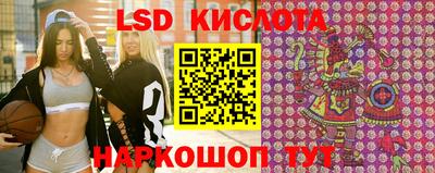 шишки Новокубанск