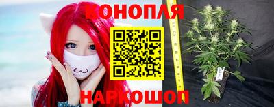 2c-b Новозыбков