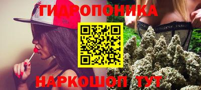 шишки Новокубанск