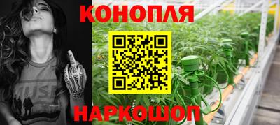 2c-b Новозыбков